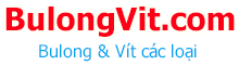 thiet ke website chuyen nghiep gia re uy tin nhat