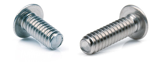 Ốc giá rẻ